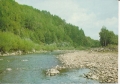 IMG_0017.jpg