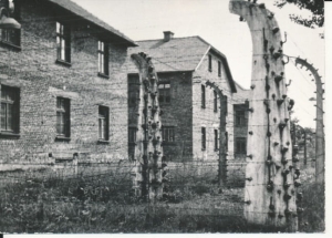 Auschwitz Oświęcim obóz - 040245