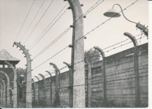Auschwitz Oświęcim obóz - 040262