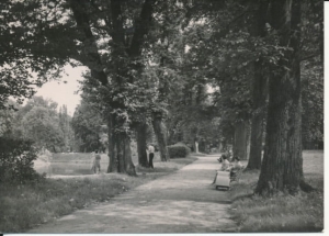 Nałęczów park - 040275