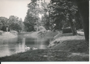Nałęczów park - 040276