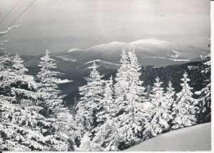 Widok na Babią Górę - 040289
