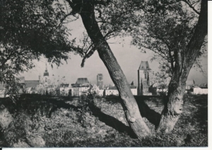Toruń widok ogólny - 040320