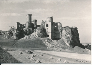Ogrodzieniec zamek - 040325