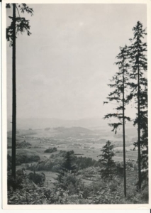 Lanckorona widok z góry zamkowej - 040344