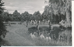 Zamość Park miejski - 040470