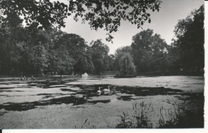 Siedlce park miejski - 040472