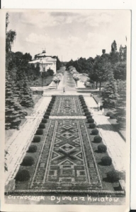 Ciechocinek dywan kwiatowy - 040508