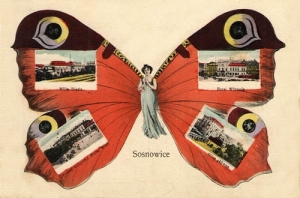 Sosnowiec widokowa - Reprodukcja 15438