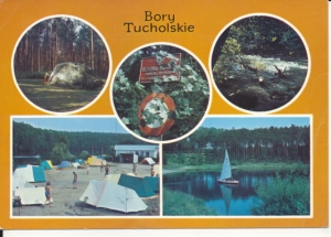 Bory Tucholskie widokowa - 040199