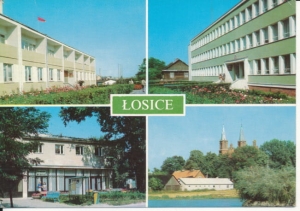 Łosice widoki widokowa - 040596