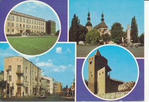Skierniewice widoki widokowa - 040674