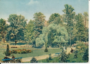 Mińsk Mazowiecki park - 040682