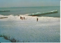 IMG_0011.jpg