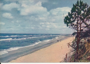 Bałtyk morze fale - 041306