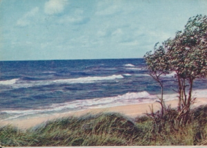 Bałtyk morze fale - 041315