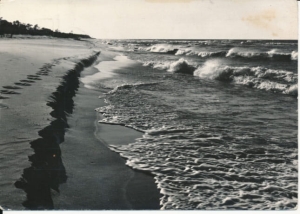 Bałtyk morze fale - 041346