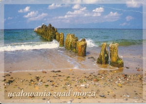 Bałtyk morze fale - 041348