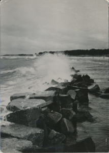 Bałtyk morze fale - 041425