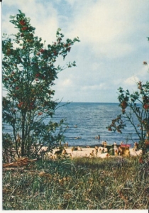 Stegna nad Bałtykiem - 041544