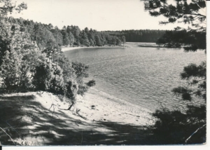 Ocypel jezioro - 041548