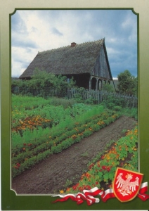 Kronika Polski Kaszuby - 041582