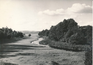 Kościerzyna krajobraz okolic - 041592