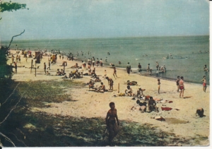 Jastrzębia Góra plaża - 041616