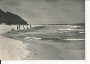 Jastrzębia Góra plaża - 041642