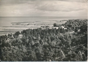 Krynica Morska Zalew Wiślany - 041732a