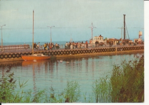 Krynica Morska przystań - 041750a