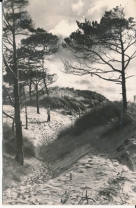 Ustka wydmy - 041799