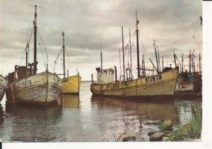 Jastarnia kutry rybackie - 041842