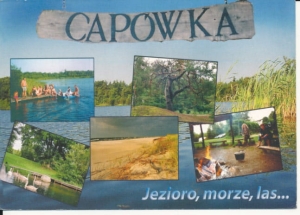 Choczewo Capówka widokowa - 041850