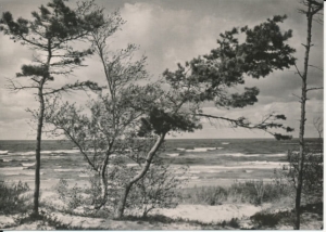 Łeba widok na morze - 041860