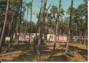 Łeba ośrodek wczasowy - 041889