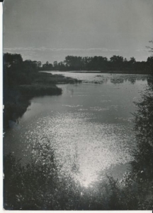 Jazowo nad Nogatem - 042012
