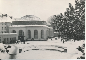 Kudowa Zdrój - 042183