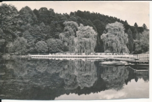Kudowa Zdrój - 042187