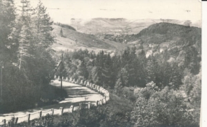 Kudowa Zdrój - 042194