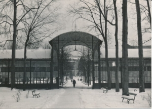 Kudowa Zdrój - 042196