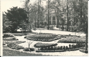 Kudowa Zdrój - 042204