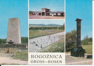 Rogoźnica widoki widokowa - 042284
