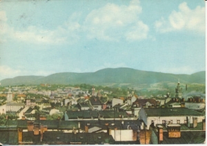 Bielsko Biała panorama - 042320