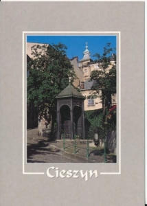 Cieszyn studnia - 042361