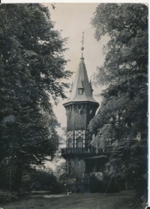 Paprocany zameczek myśliwski - 042487