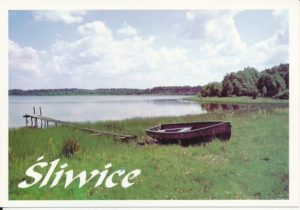 Śliwice panorama - 042503