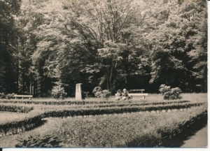 Jastrzębie Zdrój park - 042682