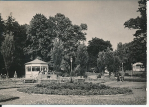 Jastrzębie Zdrój park - 042684
