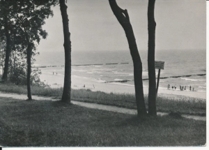 Rewal plaża Bałtyk morze - 042788